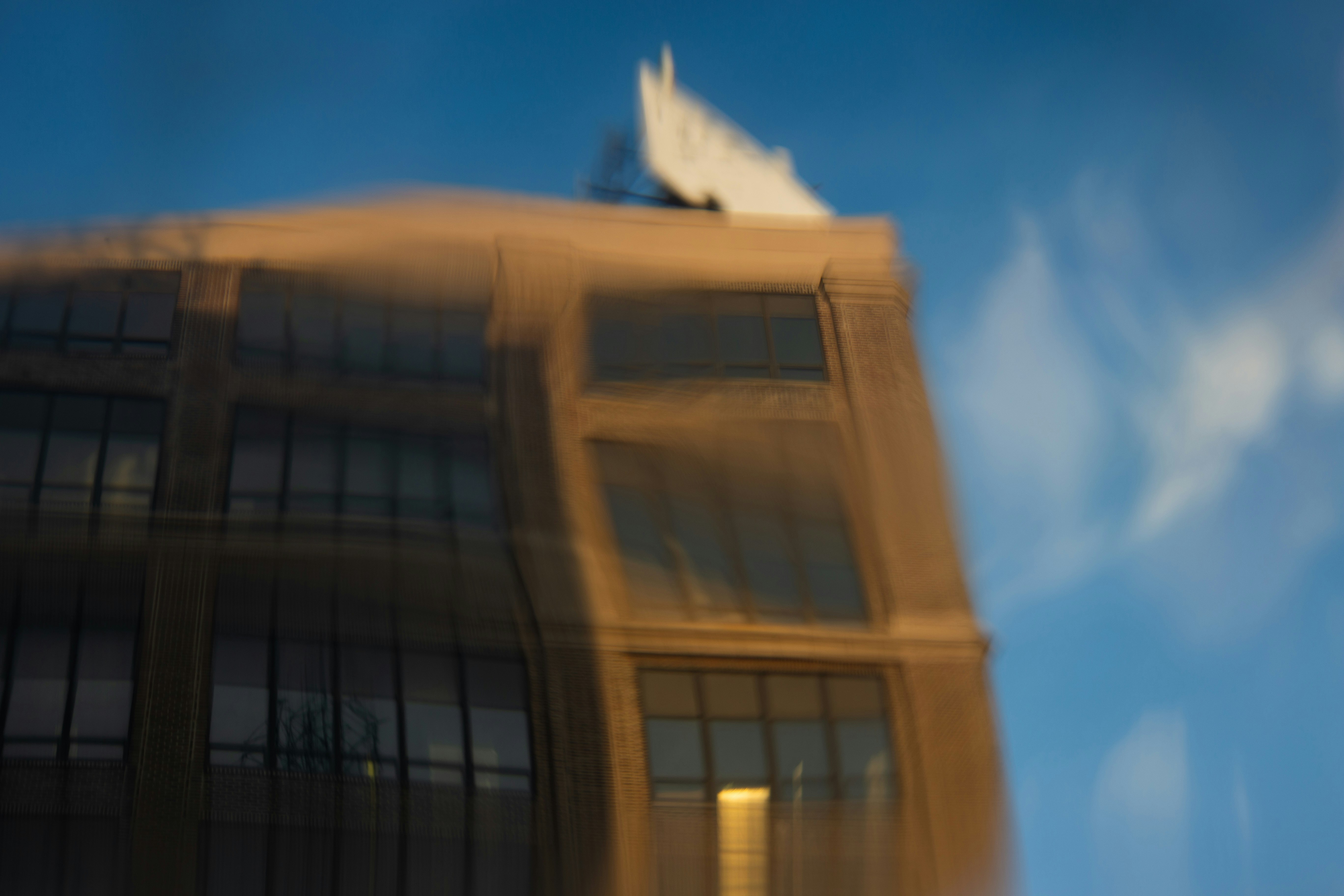 white bird flying over the building during daytime